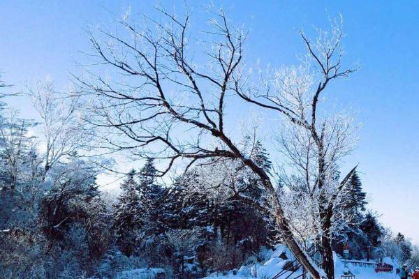 吉林北大湖滑雪场好玩吗，北大湖滑雪场门票+地址信息