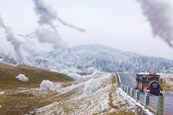 重庆仙女山滑雪场攻略，仙女山旅游两日游线路