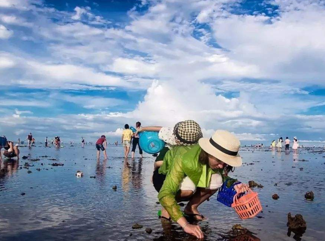 青岛免费赶海比较好的地方是哪里 青岛游客赶海去什么地方好 