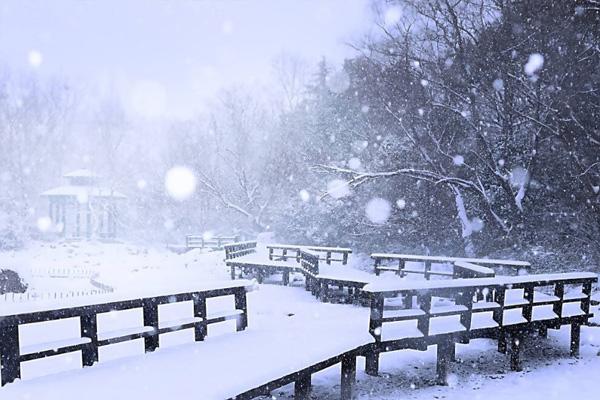 南京飘雪民俗文化节时间是什么时候，附活动攻略