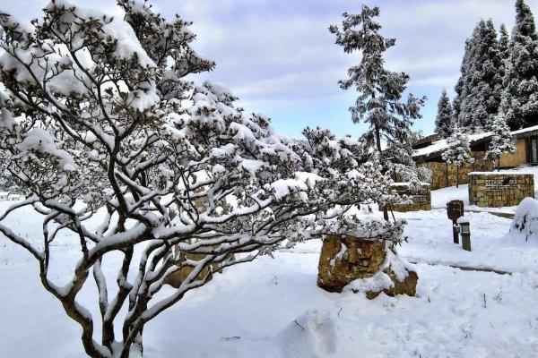 重庆看雪景去哪里好，重庆看雪景的最佳地点