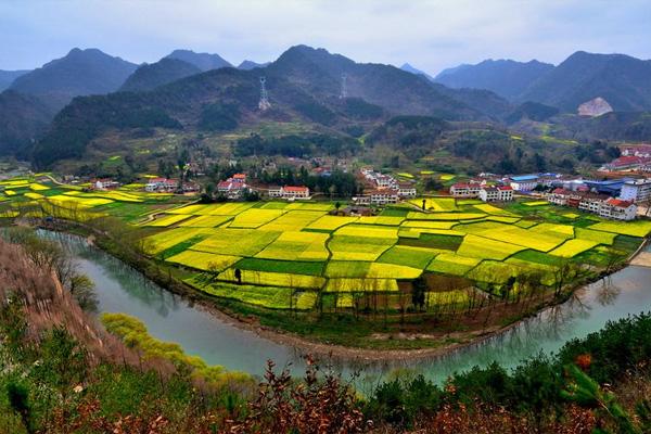 2021汉中油菜花自驾游路线 汉中油菜花最佳观赏时间 