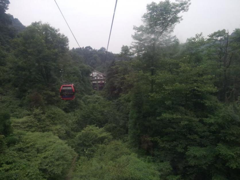 青城山自驾一日游旅游攻略