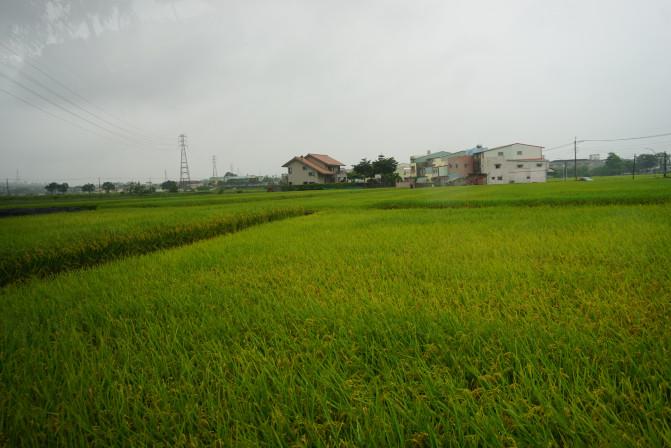 台湾有什么景点 台湾自驾游攻略