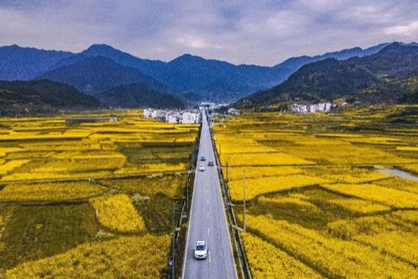 婺源油菜花节是什么时候活动介绍