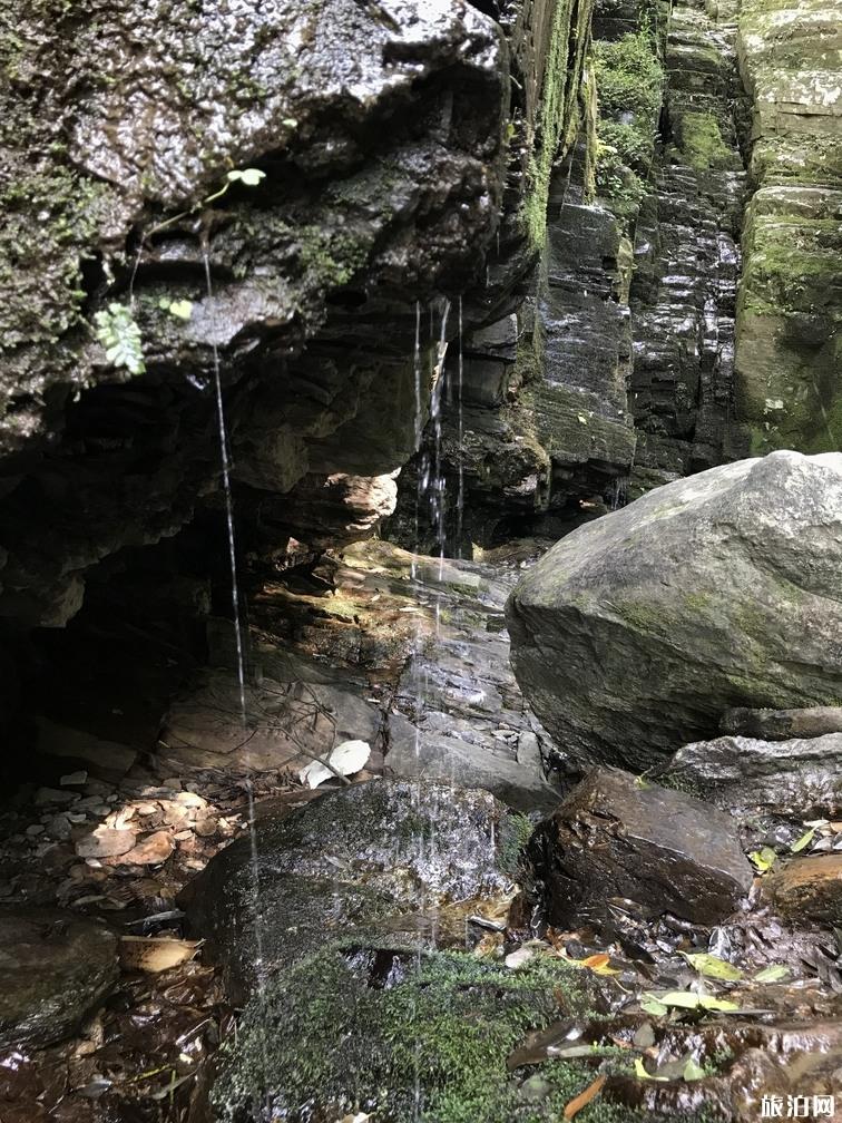 庐山旅游攻略一日游