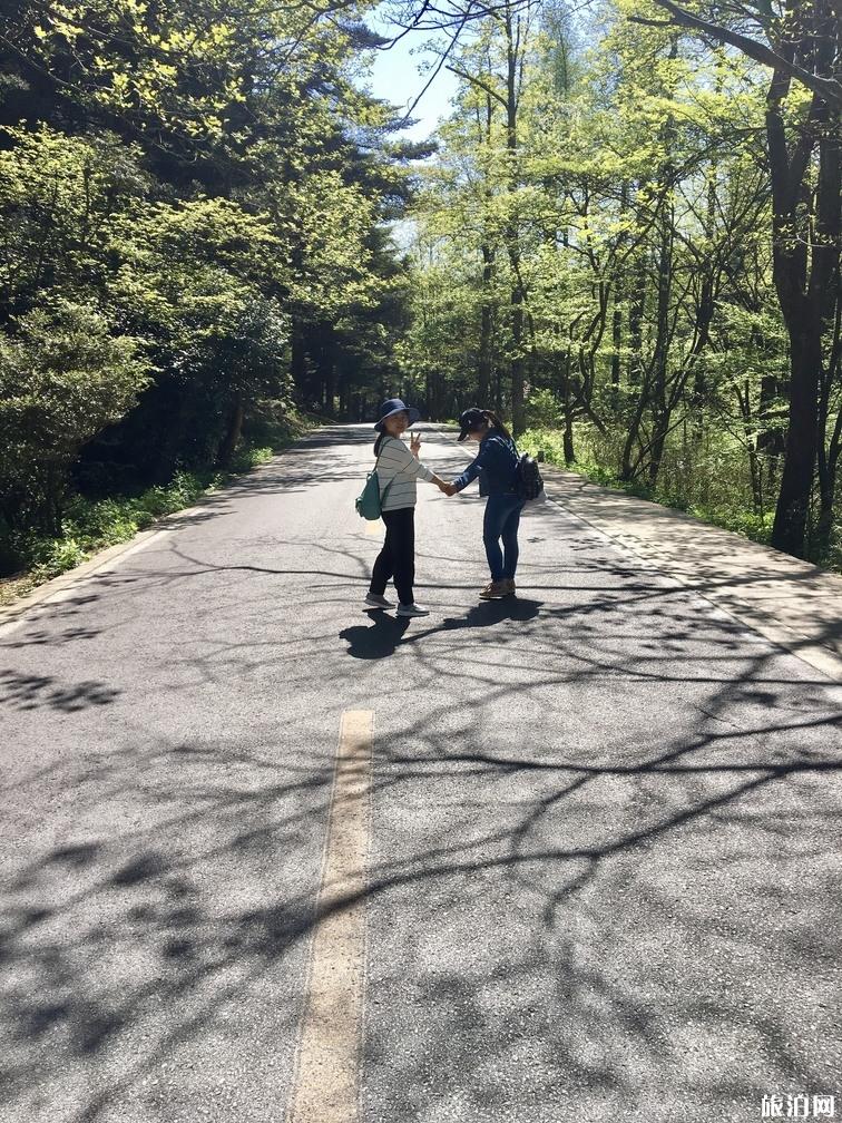 庐山旅游攻略一日游