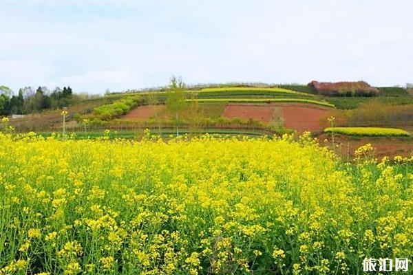 樱桃沟景区骑行旅游攻略