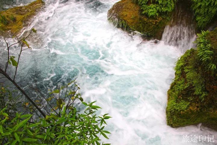 水上森林在哪 水上森林攻略