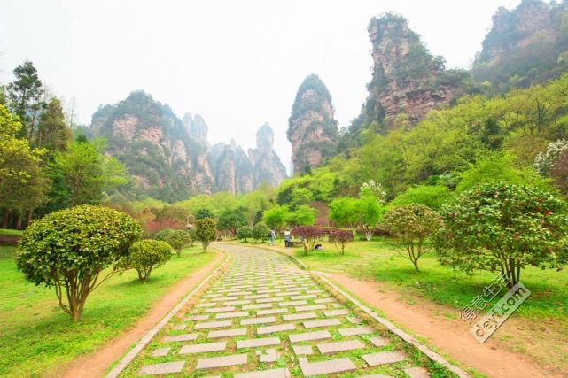 张家界旅游详细攻略和花费价格