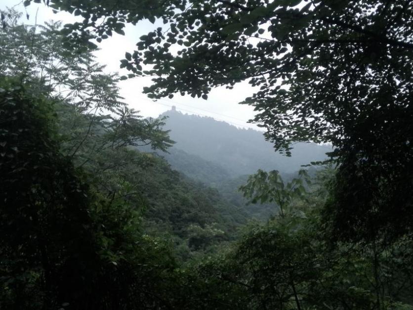 青城山自驾一日游旅游攻略