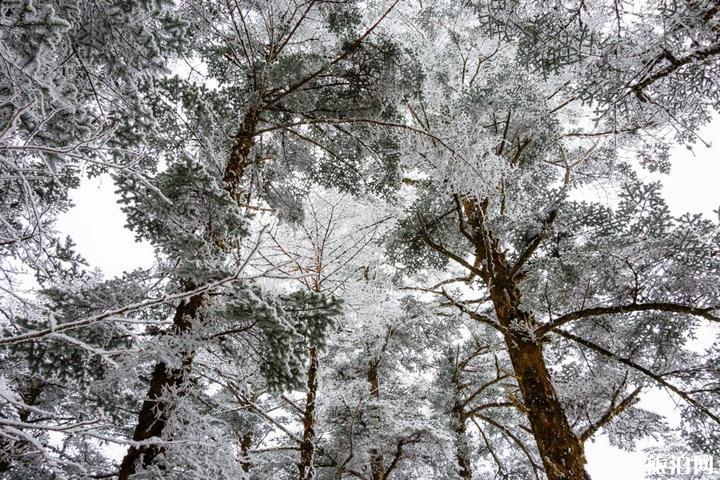 峨眉山冬季旅游攻略  峨眉山有什么特点