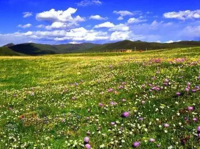 月亮湾停车费是多少  月亮湾露营基地怎么样