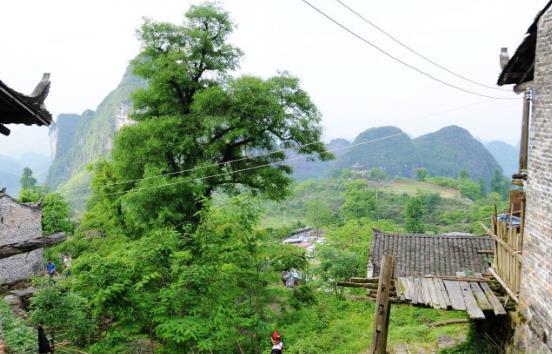 深圳周边自驾游推荐 深圳周边自驾游景点