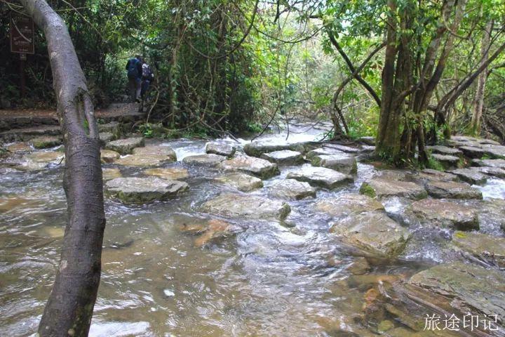 水上森林在哪 水上森林攻略