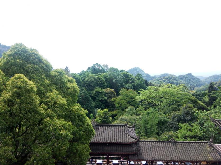 青城山好玩吗 青城山自驾一日游攻略