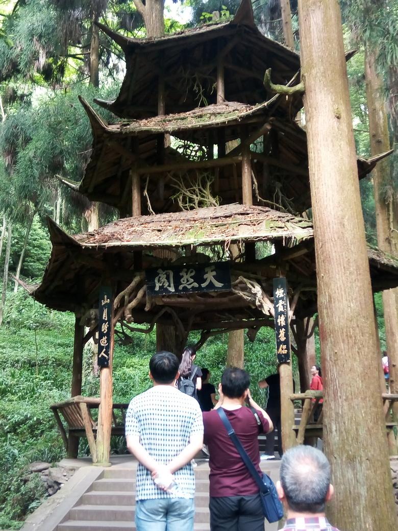 青城山好玩吗 青城山自驾一日游攻略