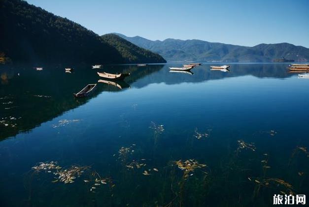 泸沽湖环湖多少钱 泸沽湖环湖女神湾攻略