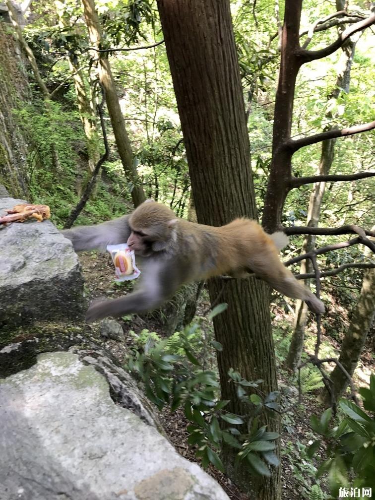 庐山自驾游还需要买观光车票吗