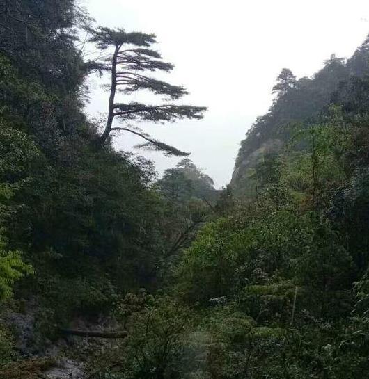 韶关南岭和云门寺旅游攻略