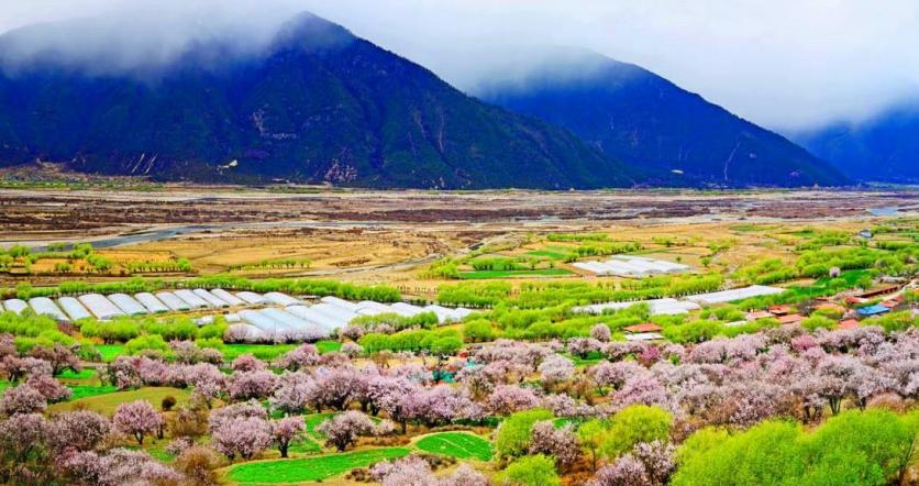 西藏林芝旅游攻略