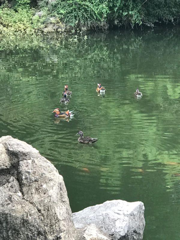 南京旅游美景图片 南京旅游景点照片