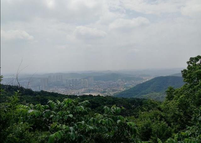 武汉八分山风景图