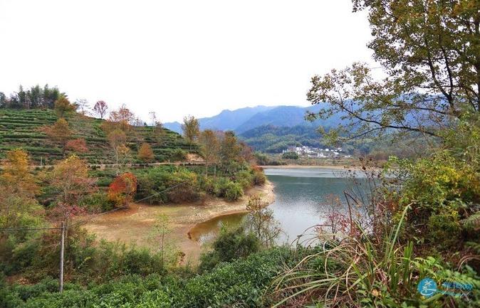 石潭 木梨硔 塔川风景照片