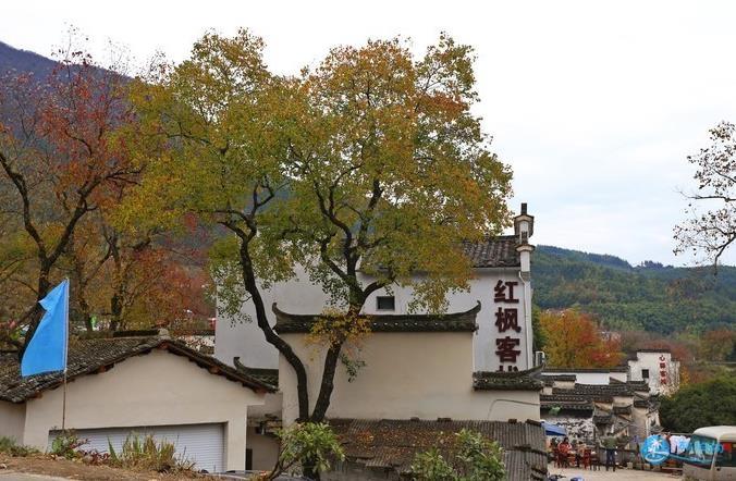 石潭 木梨硔 塔川风景照片