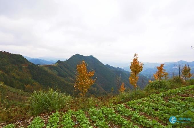 石潭 木梨硔 塔川风景照片