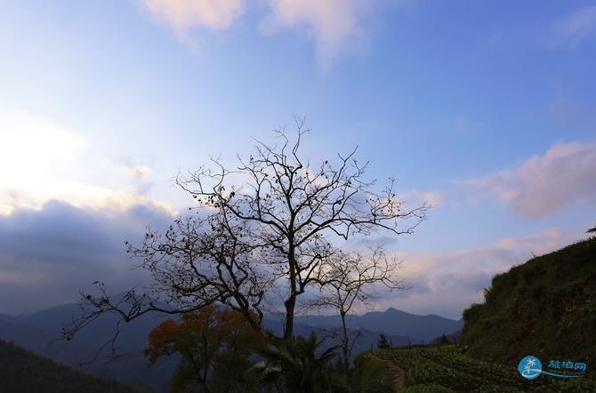 石潭 木梨硔 塔川风景照片