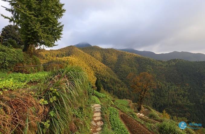 石潭 木梨硔 塔川风景照片