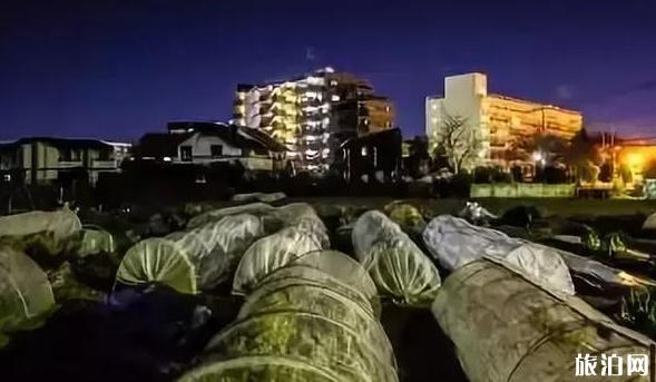 如何拍城市风景 拍城市风景技巧大全