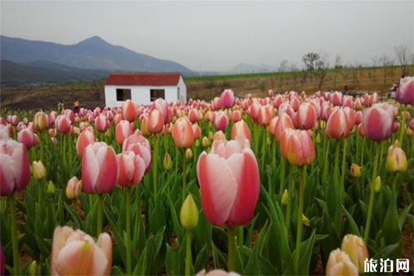 安徽巢湖十大景点推荐 巢湖景点有哪些