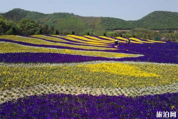 2020常州花谷奇缘春节庙会1月24日开启 时间+庙会内容