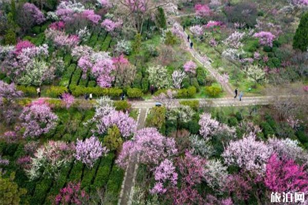 杭州超山梅花餐饮住宿信息