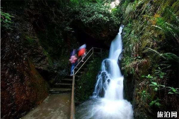 西樵山景区旅游全攻略 门票-交通指南