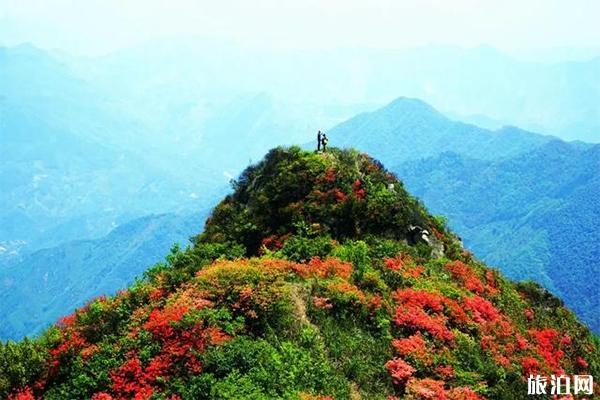 宁国旅游景点大全，宁国有哪些景点