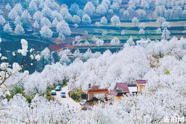 宣城赏花地推荐，附赏花地图