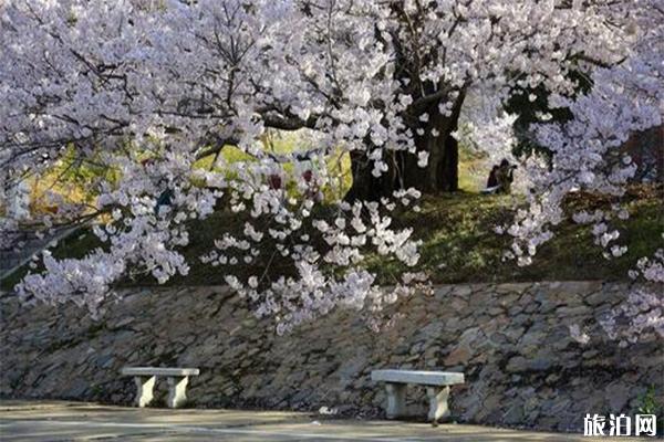 宣城赏花地推荐 附赏花地图