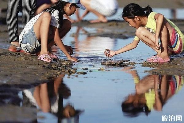 赶海是什么意思 涨潮去还是退潮去