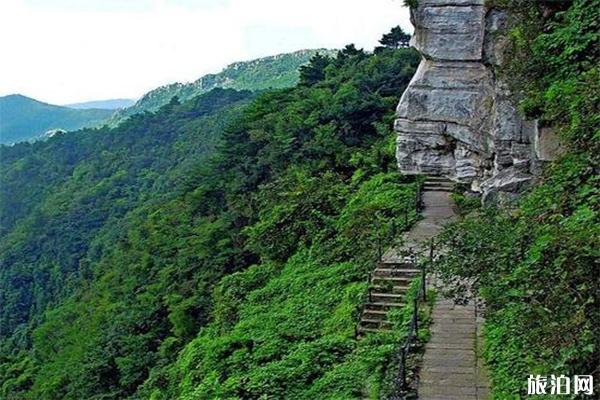 有多少天台山景区 哪个天台山景区可以看萤火虫