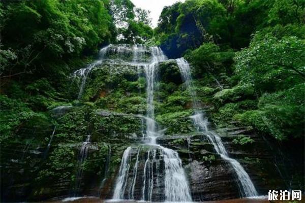 有多少天台山景区 哪个天台山景区可以看萤火虫