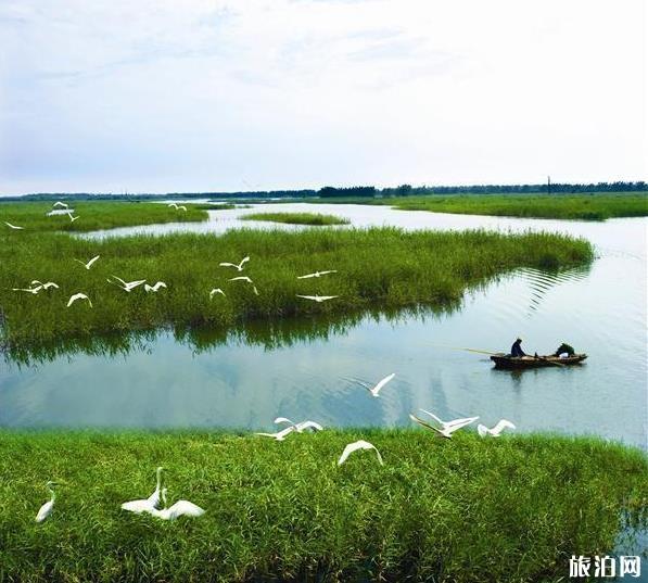 山东四大名湖是哪些