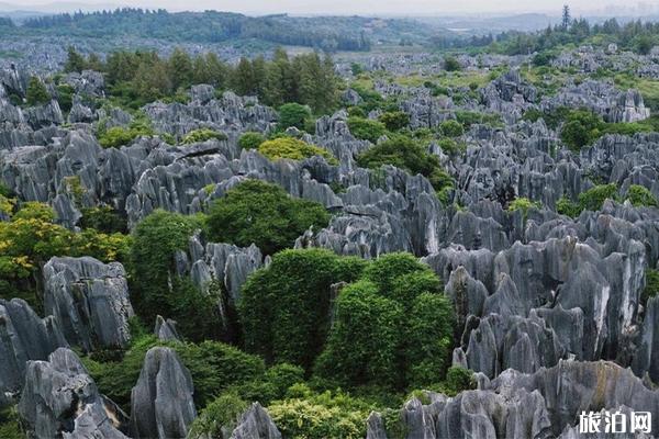 火爆剧影视剧取景地盘点 陈情令-庆余年