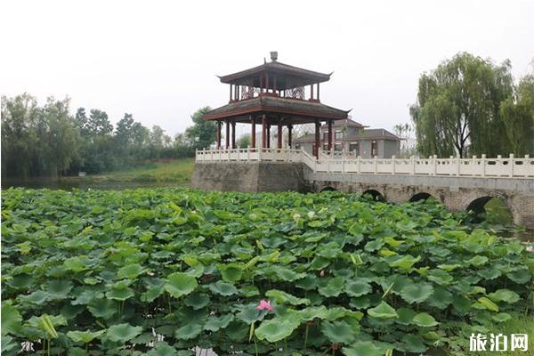 许昌看荷花在什么地方 许昌荷花观赏地推荐