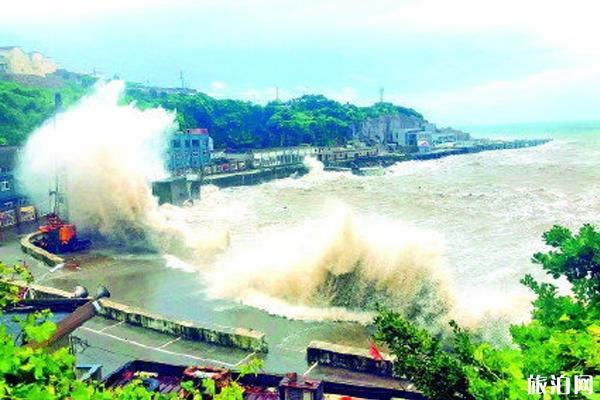 2020暴雨台风双预警哪些城市