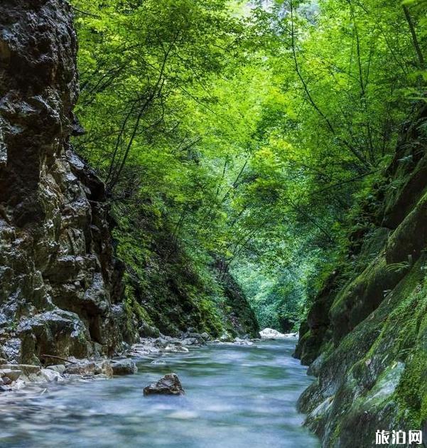 浪沟峡景区介绍 浪沟门在哪里