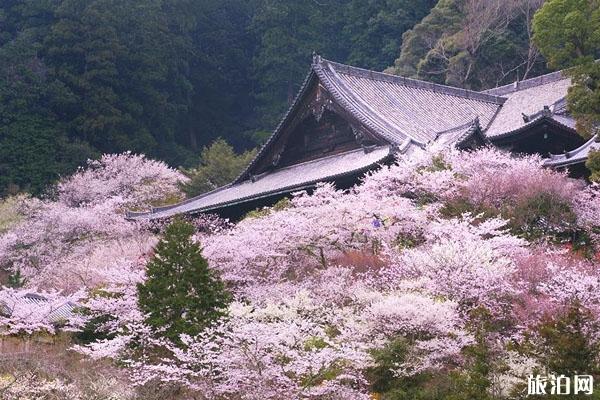 日本入境9月最新消息 全面解禁后需要隔离吗