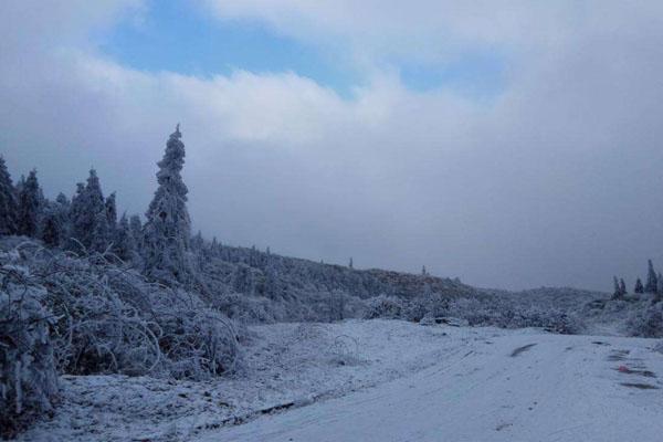 2020年重庆仙女山什么时候下雪 仙女山冬季游玩攻略